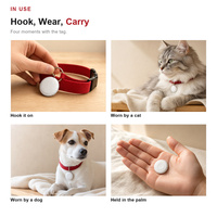 Traceur AirTag transfrontalier, dispositif de positionnement double système, localisateur anti-perte pour animaux de compagnie, gadget anti-perte intelligent Bluetooth