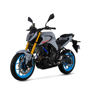 <span class=keywords><strong>Motocicleta</strong></span> Hyper Naked de 250cc, Estilo <span class=keywords><strong>MT</strong></span>, 4 Tiempos, Refrigeración Líquida, Moto Deportiva Urbana para Adultos, Venta al Por Mayor de Fábrica - Product Image 2