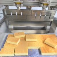 Machine automatique de découpe de gâteaux à ultrasons pour la production d'aliments surgelés, trancheuse de fonds de gâteaux, prix de la machine de découpe