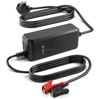 Chargeur de batterie LiFePO4 14,6 V 10 A avec pinces crocodiles, adaptateur d'alimentation CC pour batteries au lithium-fer-phosphate 12 V