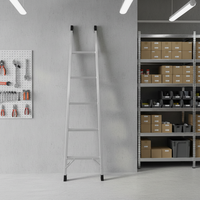 Échelle pliante portable en alliage d'aluminium, simple face, capacité de charge 300 kg, 2 mètres, 6 marches, pour usage extérieur et entrepôt