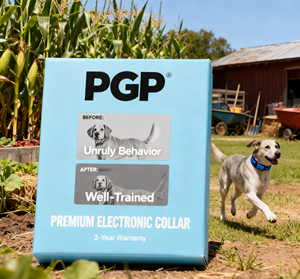 Rechargeable <strong>Anti</strong> <strong>Bark</strong> Dog <strong>Collar</strong> Custom Plastic Dog Training Shock <strong>Collar</strong> - Product Image 4
