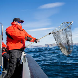 Alüminyum katlanabilir tor ağı - Product Image 6