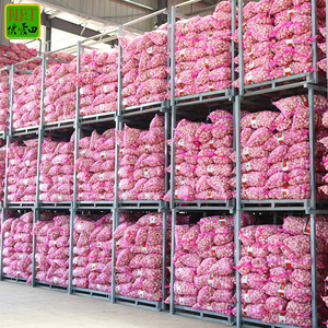 Bawang Putih Kating กระเทียมสด Cangshan 4 6กลีบกระเทียมที่มีคุณภาพสูงขายส่ง Bawang Putih Kating - Product Image 6