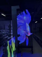 Affichage publicitaire LED holographique transparent sur pied pour salle d'exposition automobile, lancement de nouveau modèle, effet flottant 3D