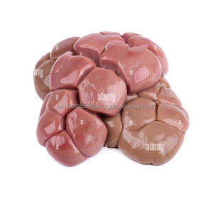 Rein de bœuf congelé exportateur Rein de bœuf biologique à vendre - Product Image 5