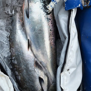 Sac de capture de <span class=keywords><strong>poisson</strong></span> isolé et étanche de grande capacité avec logo personnalisé grand sac isotherme de pêche pliable sac de voyage portable pour tuer les poissons - Product Image 4