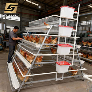 Cage à <span class=keywords><strong>poules</strong></span> <span class=keywords><strong>pondeuses</strong></span> galvanisée <span class=keywords><strong>pour</strong></span> l'élevage de <span class=keywords><strong>poules</strong></span> <span class=keywords><strong>pondeuses</strong></span>, équipement d'élevage avicole - Product Image 3