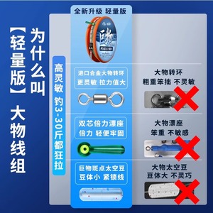 Nylon Fishing Line Set Pre Tied Main Line Rig For Big Carp Silver Carp Reservoir Pond Use With PE Reinforcement Double - Product Image 3