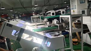 Wenyao Mini Riem Stijl Intelligente Cherry Tomaat Bosbessen Kleur Sorter Machine - Product Image 5