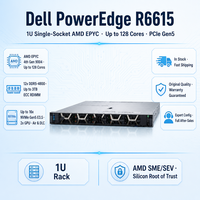 Server Rak PowerEdge R6615 1U Prosesor AMD EPYC Tersedia - Performa Tinggi & Penyimpanan Latensi Rendah yang Fleksibel