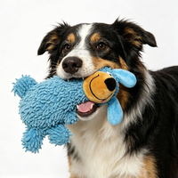 Jouets pour animaux de compagnie en peluche personnalisés avec logo, jouets interactifs pour chiens, durables et résistants