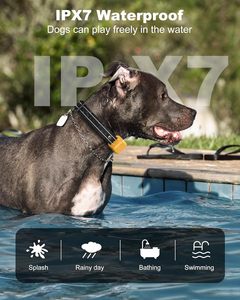 Dispositivo de entrenamiento de perros duradero con <span class=keywords><strong>control</strong></span> remoto-Envío rápido de expertos de fábrica <span class=keywords><strong>Collar</strong></span> de entrenamiento de descarga eléctrica para perros - Product Image 2