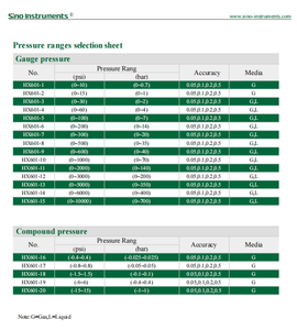 Calibrador de Alta Pressão Digital, Manomètres, Transmetteur de Pressão, Haute Précision 0,05%, Capteur de Pressão, Garantie 1 An, Tesco - Product Image 5