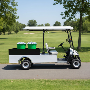 Voiturette de <span class=keywords><strong>golf</strong></span> électrique 2 places 48V/72V avec boîte de chargement, véhicule utilitaire agricole tout-terrain, certifiée DOT/EEC/GCC, haute qualité - Product Image 4