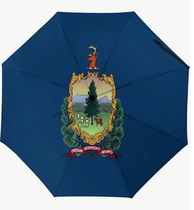 Parapluie compact avec drapeau du Dakota du Sud, résistant au vent, de haute qualité, parapluie de voyage, ouverture et fermeture automatiques, grands parapluies pour la pluie - Product Image 5