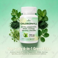 Capsules de Chlorophylle Supplément Super Aliment Vert Persil Menthe Poivrée Luzerne Moringa Spiruline Chlorelle Soutien Détox Végétarien