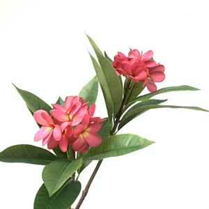 Nouvel Arrivage H-1006 – Fleurs Artificielles de Plumeria Rubra (<span class=keywords><strong>Frangipanier</strong></span>) pour Mariages, Événements, Décoration Tropicale <span class=keywords><strong>et</strong></span> Hôtels - Product Image 3
