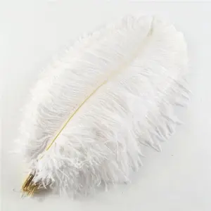 50-55 cm High Quality Multi-Color Smooth Fluffy Natural Ostrich Feather for Wedding Decoration