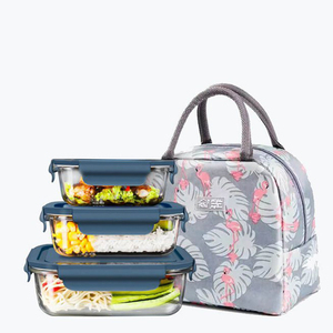 Eco Friendly Microwavable Women Lunch Box Bag Glass Rectangular Silicone Food Packaging Meal Prep Bento Lunch Box Food Container