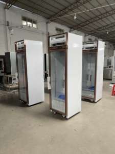 Réfrigérateur vertical à affichage de température unique pour dépanneur commercial 5 étagères refroidisseur de bière à contrôle de température numérique - Product Image 4