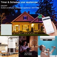 Interruptor Inteligente Inalámbrico con Control por Voz TYSH Automation, Interruptor Táctil Wifi con Control por Voz a través de la Aplicación Tuya Home, Superventas