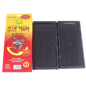 Piège à colle <span class=keywords><strong>pour</strong></span> <span class=keywords><strong>rat</strong></span> collant non toxique avec <span class=keywords><strong>beurre</strong></span> <span class=keywords><strong>de</strong></span> <span class=keywords><strong>cacahuète</strong></span> parfumé <span class=keywords><strong>pour</strong></span> souris souris - Product Image 2