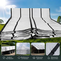 Bâche transparente en PE sur mesure, imperméable et robuste, pour rideaux de terrasse, serres, abris et auvents extérieurs