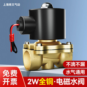 Válvula Solenoide de Cobre Normalmente Cerrada para Suministro de Agua, Uso en Exteriores, con Diafragma de Acero Inoxidable - Product Image 2