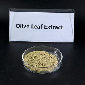 Populaire Olijfbladextract 5%-80% Oleuropein Hplc Hydroxytyrosol 5% 60% - Product Image 5