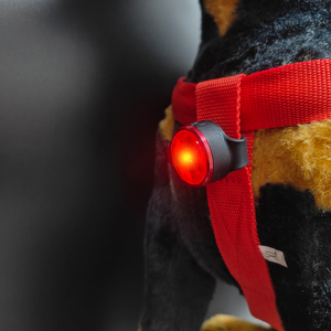 2025 <strong>New</strong> Pet Products Waterproof USB C Rechargeable Light up <strong>Dog</strong> <strong>Collar</strong> Pendant Light Night Walking Safety Warning LED <strong>Dog</strong> Light - Product Image 3