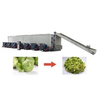 Meilleures ventes Sécheuse pour épices de maïs Sécheuse à bande maillée Machine à sécher les aliments Cardamome/tomate/dattes rouges Sécheuse à aliments automatique