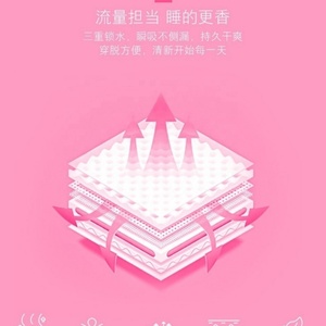 กางเกงในแบบใช้แล้วทิ้งสำหรับผู้หญิงและเด็กผู้หญิงในช่วงมีประจำเดือน ผลิตตามสั่ง (OEM) กำลังขายดีเป็นเทน้ำเทท่าในรัสเซีย - Product Image 6