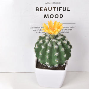 Planta suculenta <span class=keywords><strong>de</strong></span> plástico <span class=keywords><strong>de</strong></span> alta calidad, suculenta en maceta <span class=keywords><strong>de</strong></span> PVC suave, simulación <span class=keywords><strong>de</strong></span> <span class=keywords><strong>Cactus</strong></span> <span class=keywords><strong>de</strong></span> tacto Real - Product Image 6