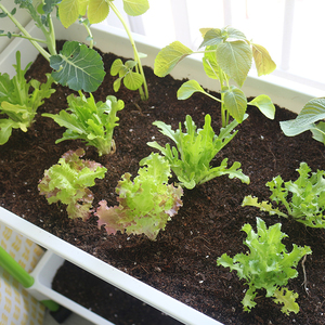 Jardinière rectangulaire à 2 niveaux en plastique léger et peu encombrant, support moderne pour pot de fleurs vertical, pour jardin intérieur et extérieur - Product Image 2