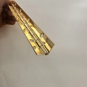 <span class=keywords><strong>Charnière</strong></span> de <span class=keywords><strong>piano</strong></span> en acier inoxydable <span class=keywords><strong>charnière</strong></span> continue robuste avec trous pour armoires bateau porte <span class=keywords><strong>marine</strong></span> - Product Image 5