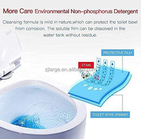 Puissant nettoyeur d'évier et de vidange outil de nettoyage de poudre Portable Agent de poudre chimique pour tuyau de toilette de cuisine