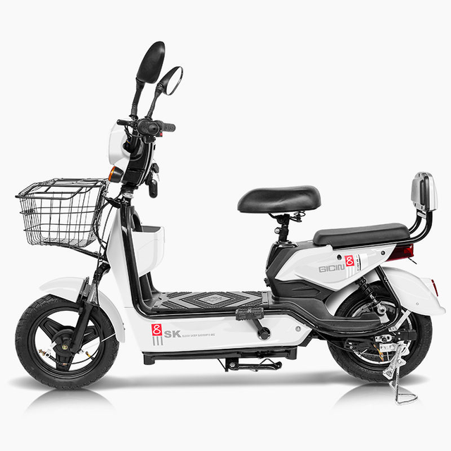 Hot Sale From Chinese Factory 350W 48V 12A City Cycling Electric Bicycle 48V12A Lead Acid Battery Pedicab Electric Motorcycles
