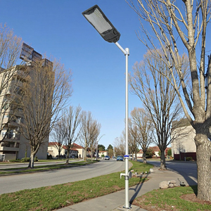 Projet d'appel d'offres de haute qualité Laihong Super Luminosité 300W Lampadaire solaire LED - Product Image 3