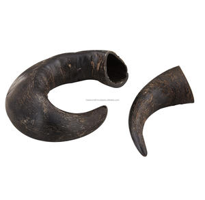 Corne imboulé naturel en forme de Viking, 5 m, à boire, style Viking, vente en gros - Product Image 6