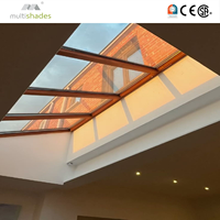 Renovation du salon et de la chambre à coucher, MULTISHADES, lucarne en verre de qualité supérieure, offre une abondante lumière naturelle pour les espaces intérieurs sombres