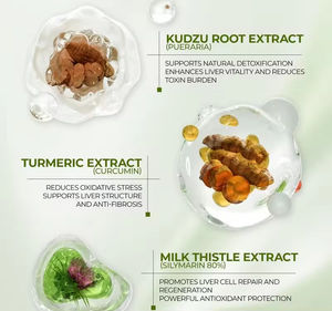 Cápsulas de Cardo Mariano Omega, Marca PULIANDA, 90 Cápsulas, Venta Transfronteriza, Fábrica Personalizada OEM, Suplemento para la Desintoxicación del Hígado para Adultos - Product Image 3