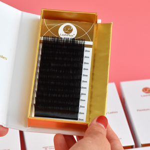 مورد Lashplus وصلات رموش موردين مستلزمات علب من الكشمير فردية 0.02 رموش بالجملة حجم 0.03 0.05 0.07 CE 6-20 - Product Image 5