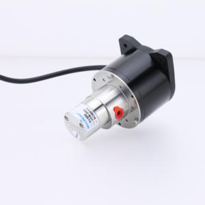 Bomba de Transferencia de Líquidos Químicos de Alta Calidad, Mini Bomba Eléctrica Magnética de Acero Inoxidable con Engranaje de Accionamiento - Product Image 2