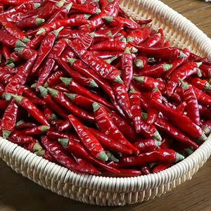 Fornitura diretta in fabbrica, <span class=keywords><strong>peperoncino</strong></span> essiccato naturale di alta qualità, naturalmente piccante, senza stelo ed essiccato - Product Image 2