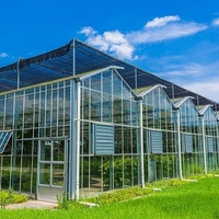 Serre intelligente en verre avec système de contrôle climatique pour la culture hydroponique de légumes et la production commerciale