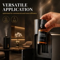 Parfum d'ambiance professionnel pour hall d'hôtel, liquide, longue durée, OEM, marque privée, vente en gros, huile parfumée pour hôtel