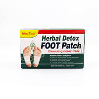 Patchs Détoxifiants Naturels Premium aux Herbes – Extrait Pur de Plantes – Soulagement de la Fatigue, Amélioration du Sommeil – Soin des Pieds Nuit – 30 Patchs/Boîte