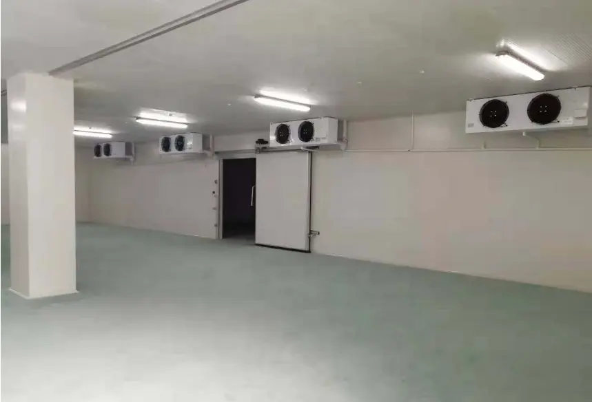 Armazenamento na sala fria 20ft 40ft recipiente refrigeração 50 ton 100 ton blast freezer preço para carne de peixe frango e cebola