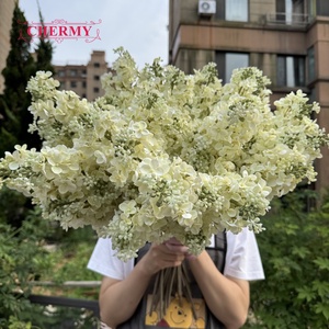 DC179 Hortensia Artificial de Seda Blanca Crema al por Mayor, Tallo Largo, Forma de Cono, para Decoración Floral de Bodas - Product Image 4